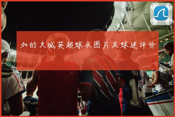 加的夫城英超球衣图片及球迷评价