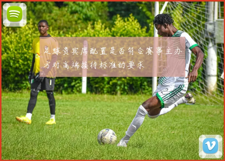 足球贵宾席配置是否符合赛事主办方对高端接待标准的要求