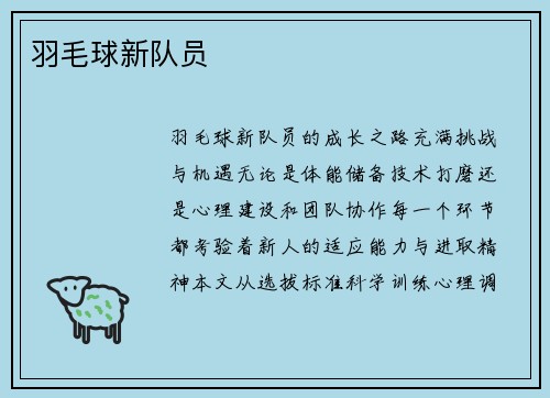 羽毛球新队员