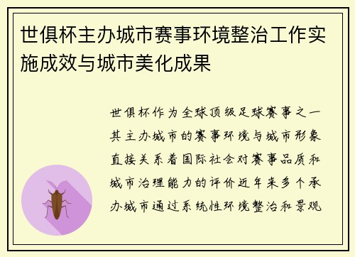 世俱杯主办城市赛事环境整治工作实施成效与城市美化成果